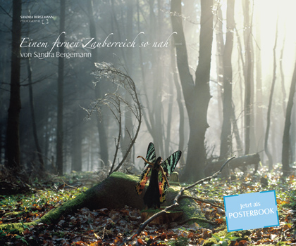 Posterbook, Einem fernen Zauberreich so nah „Einem fernen Zauberreich so nah – ein Elfenkalender für 2013“, erschienen 2012